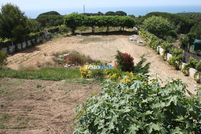 Foto b645a6bb-8107-4f4f-a131-31a558e02454. Chalet magestuosa casa en Canafort-El Puntó Sant Andreu de Llavaneres