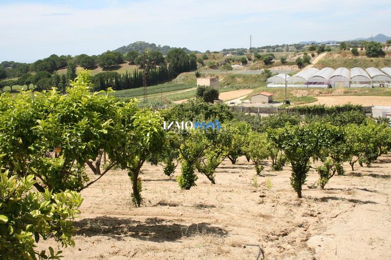 Foto f8250d23-0ffa-4d38-bda7-b4d586fca6c3. Chalet magestuosa casa en Canafort-El Puntó Sant Andreu de Llavaneres