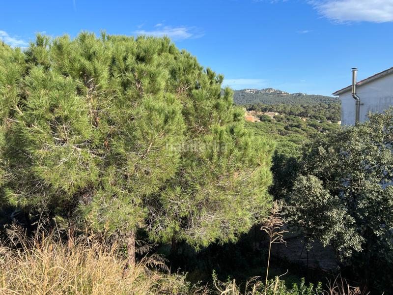 Foto 50c1e9ec-23da-4fed-a957-83cb12d9ed70. Terreno residenziale in carrer castelló 21 in Lloret Verd - Els Pinars Lloret de Mar