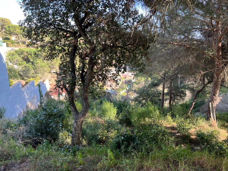 Foto 8f54bb20-c4c3-4ce7-bd3f-212d4f296560. Terreno residenziale in carrer castelló 21 in Lloret Verd - Els Pinars Lloret de Mar