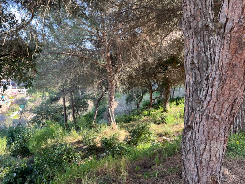 Foto d2015d81-e938-4bdd-ba2f-c76ba01b6dc0. Terreno residenziale in carrer castelló 21 in Lloret Verd - Els Pinars Lloret de Mar