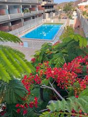 Flat  N/a. Se vende precioso bajo en llano del camello