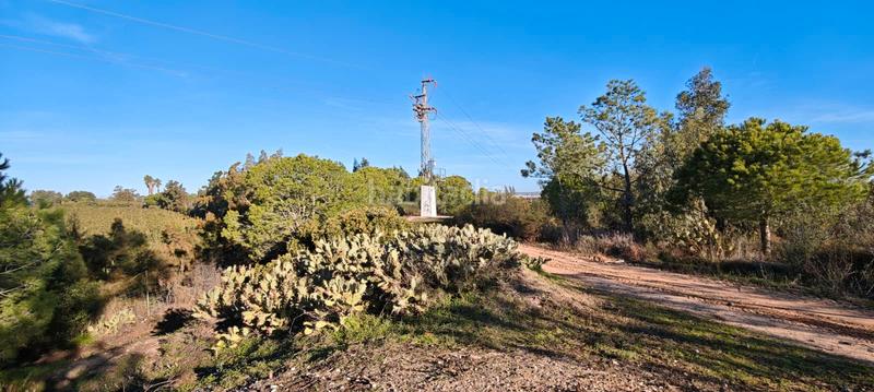 Foto 1ac796ea-96a0-49ed-855b-cafe1e9d137e. Terreny residencial a Lepe