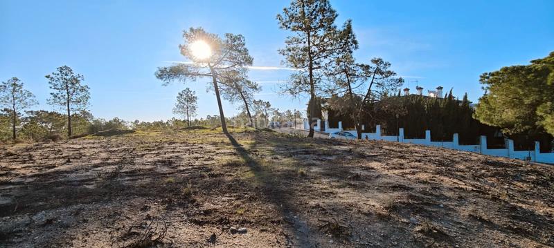 Foto 20a5d0a6-1096-4783-97e1-32c396c8a484. Terreny residencial a Lepe