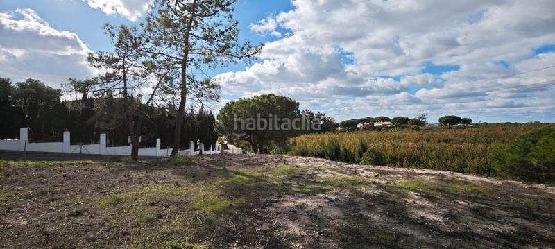 Foto 3501dae8-59e8-4728-8c5b-3ab964e726c2. Terreny residencial a Lepe