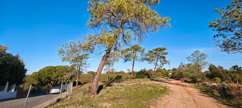 Foto 54055037-e1c5-441e-90cf-aa6e763b6936. Terreny residencial a Lepe