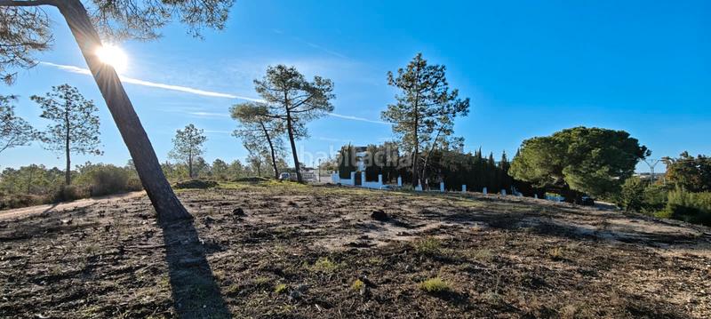 Foto 61d40598-4423-4217-95b3-76974e024272. Terreny residencial a Lepe