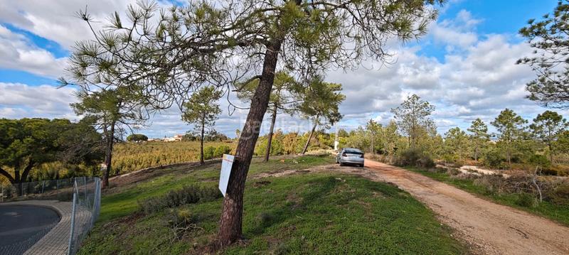 Foto 8f447f7a-6a98-404e-895b-1d64115cb590. Terreny residencial a Lepe