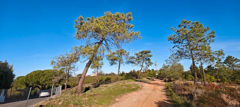 Foto c9745e39-2761-494c-92f0-acdc9e0e6246. Terreny residencial a Lepe