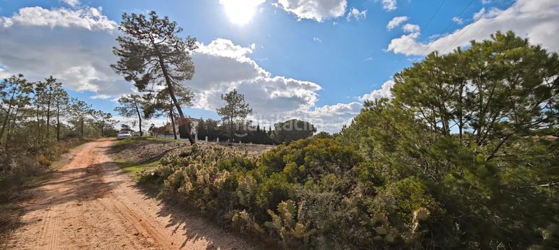 Foto d2387bbd-928b-4ac1-9f9f-f3297a45303e. Terreny residencial a Lepe