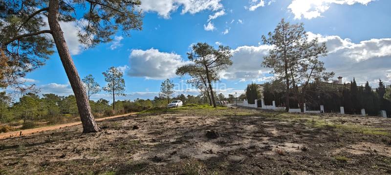 Foto e0edc712-d753-4682-9f73-f7c4c1bed9dc. Terreny residencial a Lepe