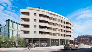 Flat in Ernio bidea 6