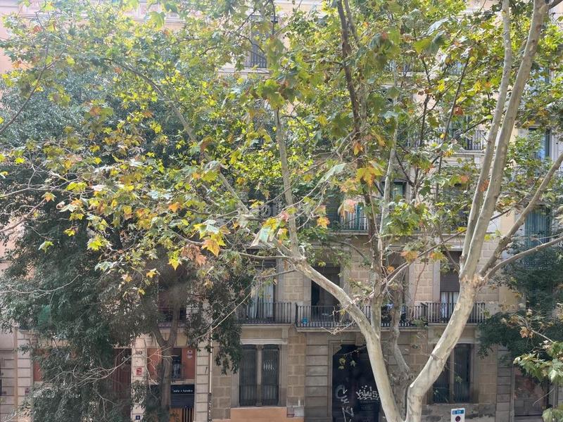 Foto 6e71a2ed-8fa7-4c06-a616-fb2b39bc3b0d. Piso en Dreta de l´Eixample Barcelona