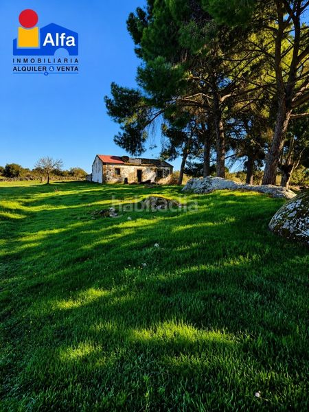 Foto 137e2477-73cb-40c8-b156-65db747a0498. Finca rústica a Aldea del Cano