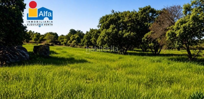 Foto 3184a184-0234-4c66-a5db-43562373d906. Finca rústica a Aldea del Cano