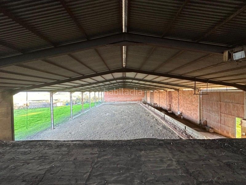 Foto d46111f9-c248-441e-8b21-2582da4d5195. Finca rústica a Casar de Cáceres