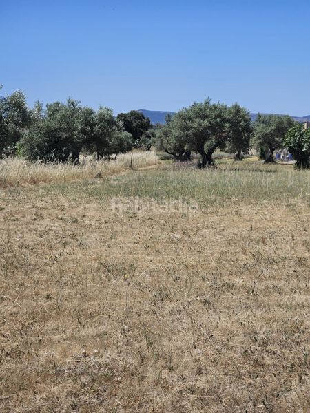 Foto bc29959f-d573-4bc0-990c-74ff5935d37a. Xalet amb calefacció aparcament piscina a Malpartida de Cáceres