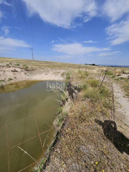 Foto 648791b0-7652-4094-927c-a0815c78ef73. Finca rústica a Casar de Cáceres