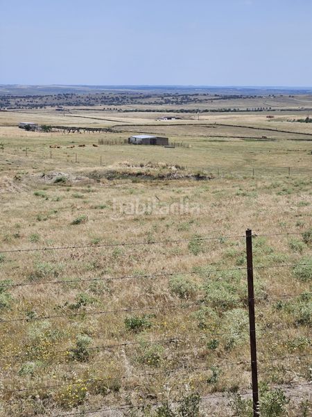 Foto b4de7e65-9689-4430-a206-510d6e09dcf2. Finca rústica a Casar de Cáceres