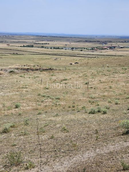 Foto d0a2ffe1-9b0c-4542-98a6-bc31276126b3. Finca rústica a Casar de Cáceres