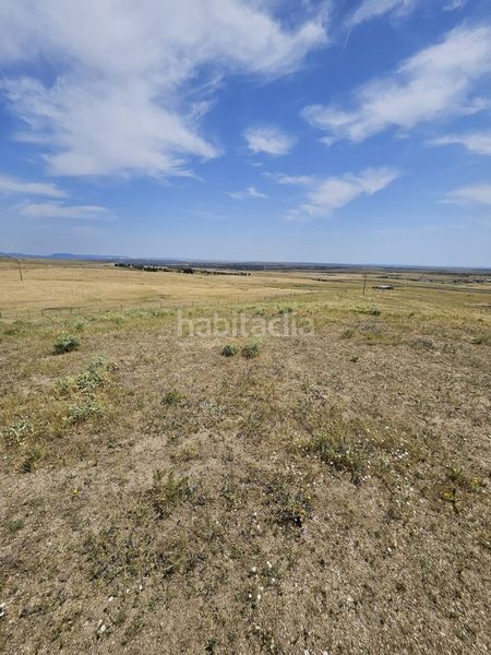 Foto d562e4ea-1f40-4d25-aff1-ea933f6e6468. Finca rústica a Casar de Cáceres