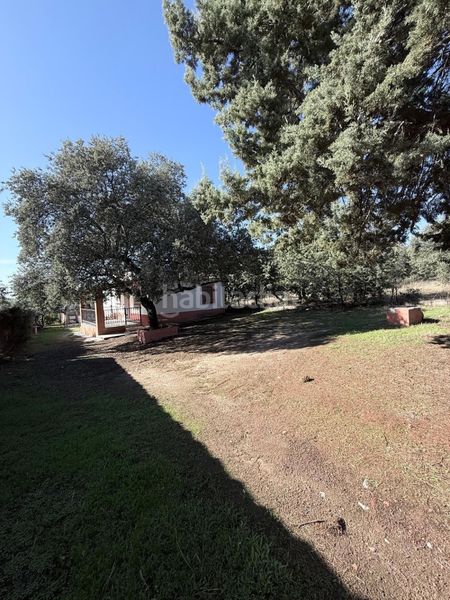 Foto 49d3d520-7e79-40fd-9d3f-ab9791a6dc8b. Finca rústica a Valdesalor - Rincón de Ballesteros Cáceres