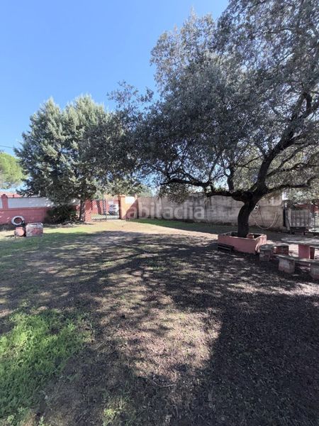 Foto ffac5ac7-9d7c-4dcb-9e51-287a572ba2e5. Finca rústica a Valdesalor - Rincón de Ballesteros Cáceres