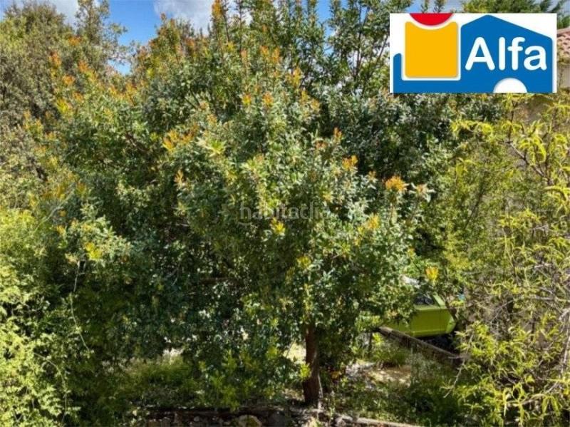 Foto b4217299-53e3-488c-8e1f-76845055f168. Xalet amb calefacció piscina a Ceres Golf Cáceres