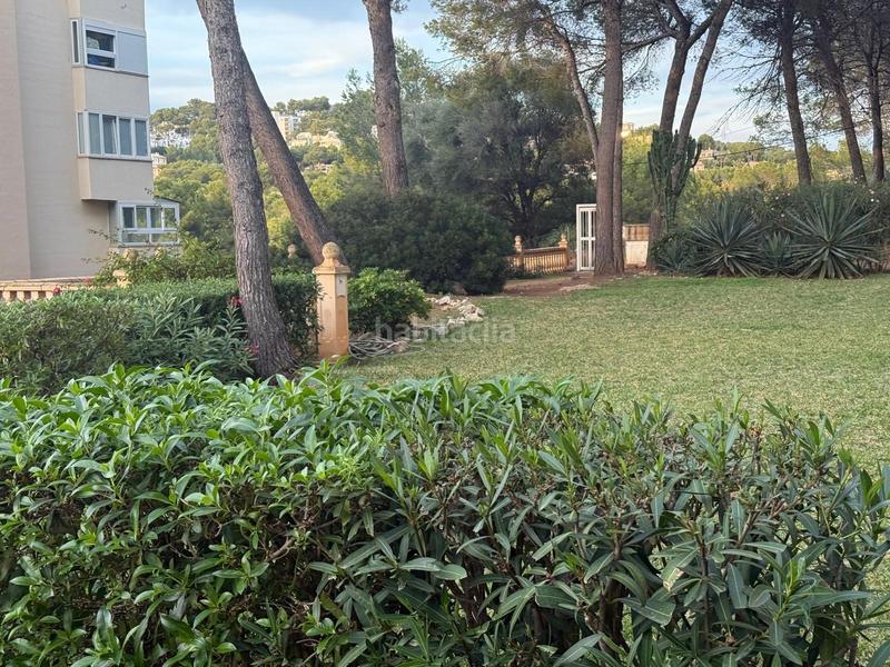 Foto 46da0f1f-8a2f-4247-b157-eac53fe09705. Appartamento con parcheggio piscina in Costa de la Calma Calvià