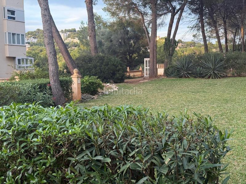 Foto ec98b919-4002-4af4-9aef-c167226bbc96. Appartamento con parcheggio piscina in Costa de la Calma Calvià