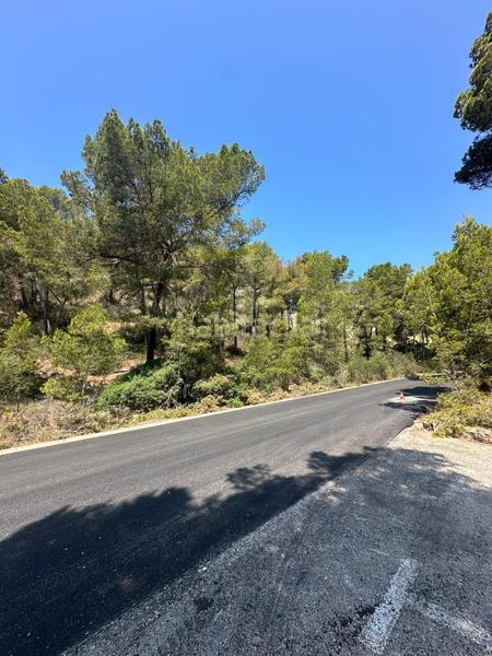 Foto 552643d4-1a67-493c-b99a-5c95824ffa1c. Terreny residencial a port d´Andratx Andratx
