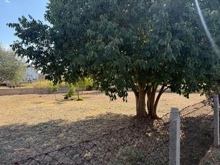 Terreny residencial a Son Sardina. Oportunidad única en son sardina  palma
