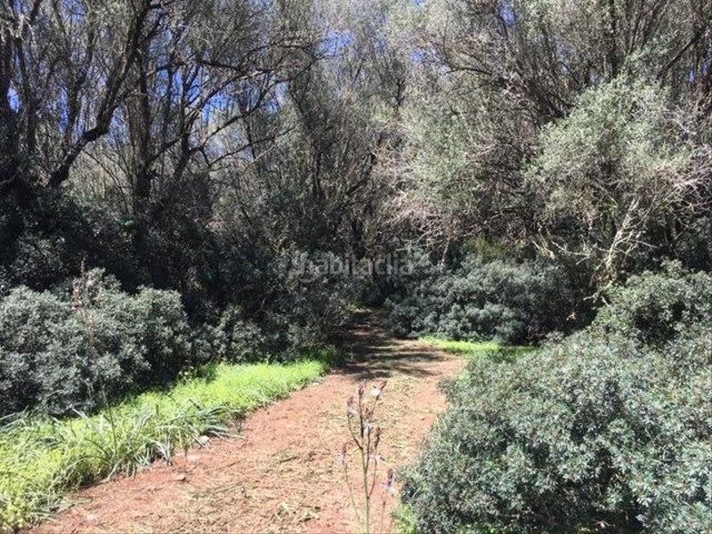 Foto 3f6fb200-e296-44b8-89fe-d01a673e07aa. Terreny residencial a Felanitx poble Felanitx