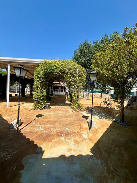 Foto 8d383f82-6bf0-4e7f-81f8-1554a418f8ee. Location local commercial dans port d´Alcúdia-platja dálcúdia Alcúdia