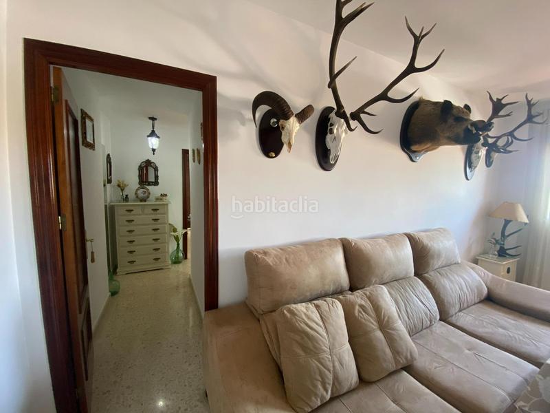 Foto 31ec8938-609d-405f-88c9-dea6bc8b7105. Apartment in carretera puerto galis s/n in Alcalá de los Gazules