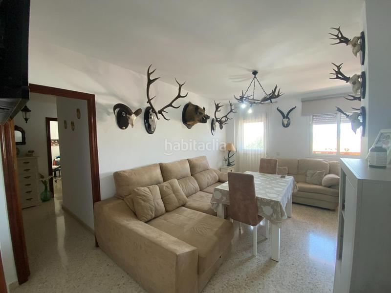 Foto f309f2a9-43b3-420b-80cc-9714f378e8ec. Apartment in carretera puerto galis s/n in Alcalá de los Gazules