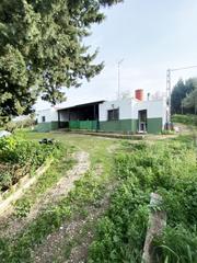 Casa  Camino de arcos de la frontera. Finca urbana con vivienda en puerto parada, alcalá de los gazule
