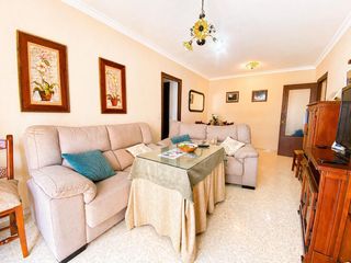 Pis a OLIVAR DEL SANTO