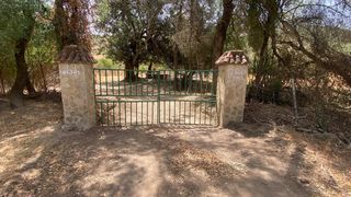 Finca rústica en Alcalá de los Gazules