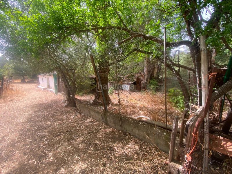 Foto 086678ca-d27a-4a34-83d6-66e4657f505c. Finca rústica a Alcalá de los Gazules