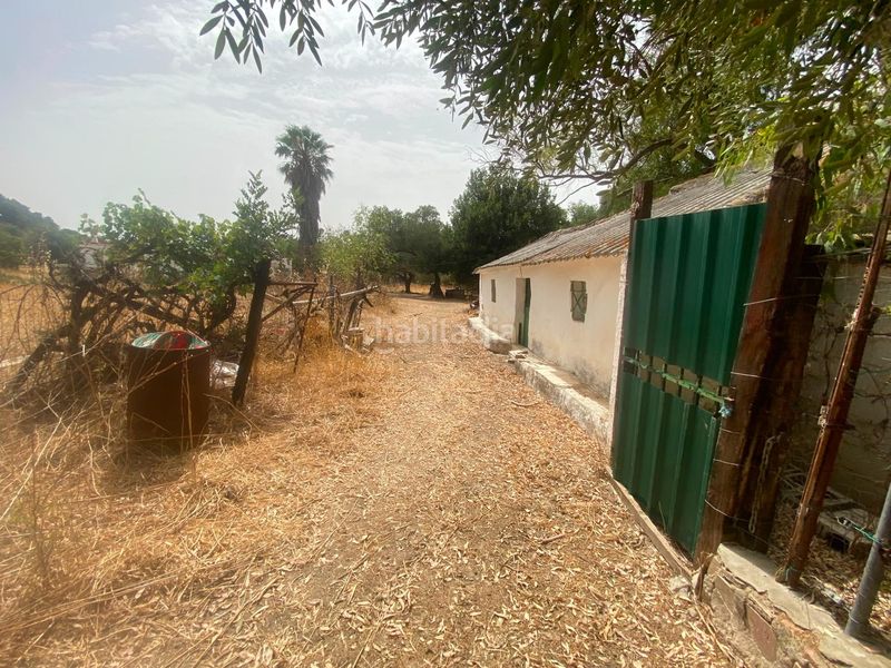 Foto 0cf4c1b2-9a06-47a4-b922-3d5e8cc966ec. Finca rústica a Alcalá de los Gazules