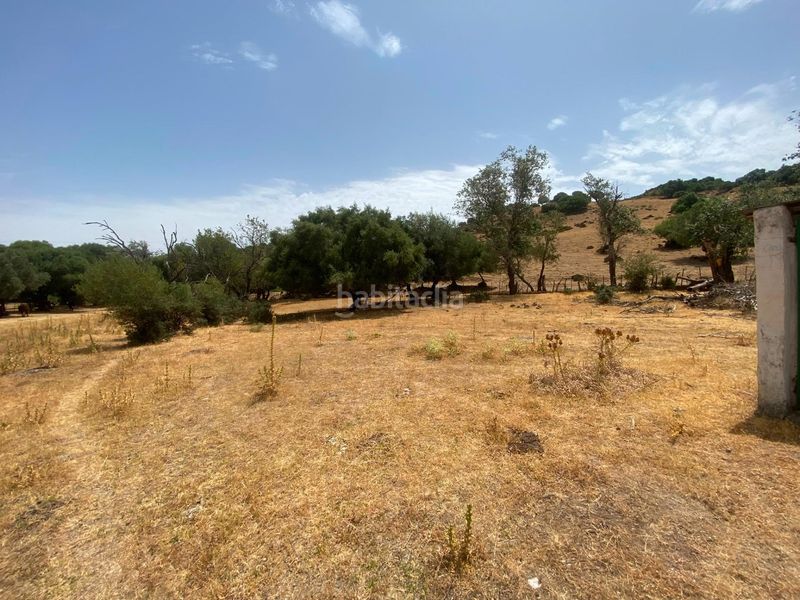 Foto 306a4666-42e1-43bc-b122-c4490339305f. Finca rústica a Alcalá de los Gazules