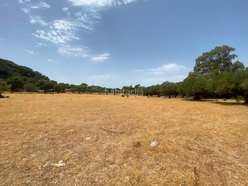 Foto 3a700a78-0565-40c9-b8c5-c35b3d6748f0. Finca rústica a Alcalá de los Gazules