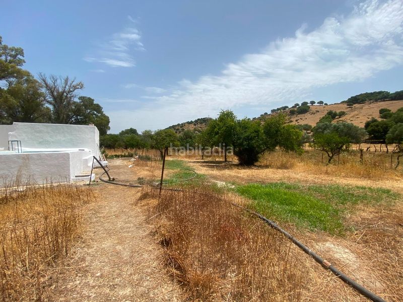 Foto 414d688b-45a4-4f9c-b874-bb6d4c8840a0. Finca rústica a Alcalá de los Gazules