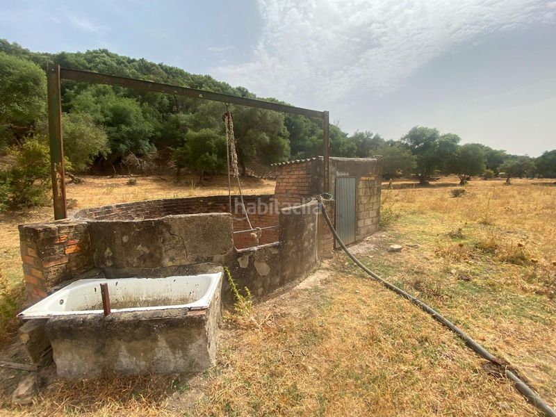 Foto 4be7d842-9f0c-4446-9732-24c914218516. Finca rústica a Alcalá de los Gazules