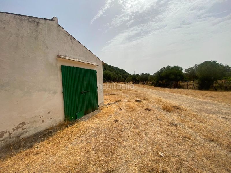 Foto 503e22b8-f5a8-43b7-82f3-21de88895d32. Finca rústica a Alcalá de los Gazules