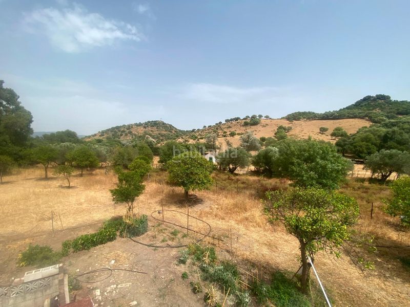 Foto 5eb55aaa-4f97-4955-9293-c6d3bd28b45f. Finca rústica a Alcalá de los Gazules