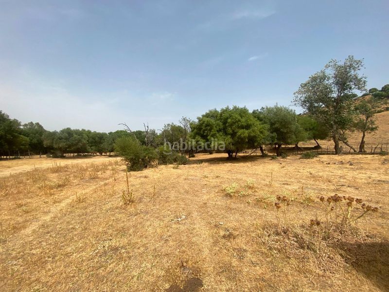 Foto 5fa99e50-29e8-4c93-8005-7f73eb7a0ebd. Finca rústica a Alcalá de los Gazules