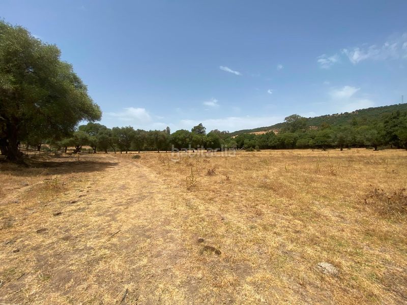Foto 6ff2a2f4-2eb8-45d8-aae3-909a18435da0. Finca rústica a Alcalá de los Gazules