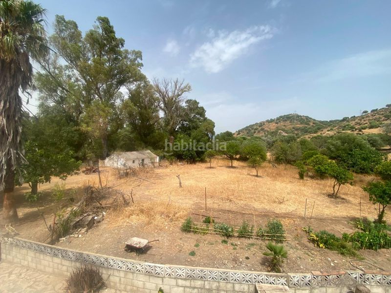 Foto 717fb171-c840-4eb1-a2f1-f889c535a79c. Finca rústica a Alcalá de los Gazules